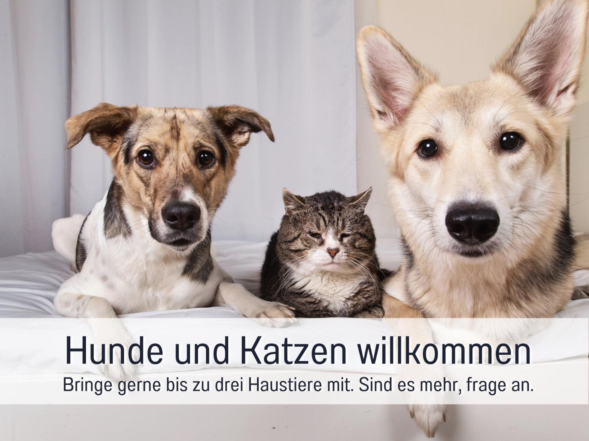 Ferienloft Sternenblick - Strandnah, Haustierfreundlich, Tolle Kueche, Optimal Fuer Workation, 4 Personen Steinberg  Екстер'єр фото