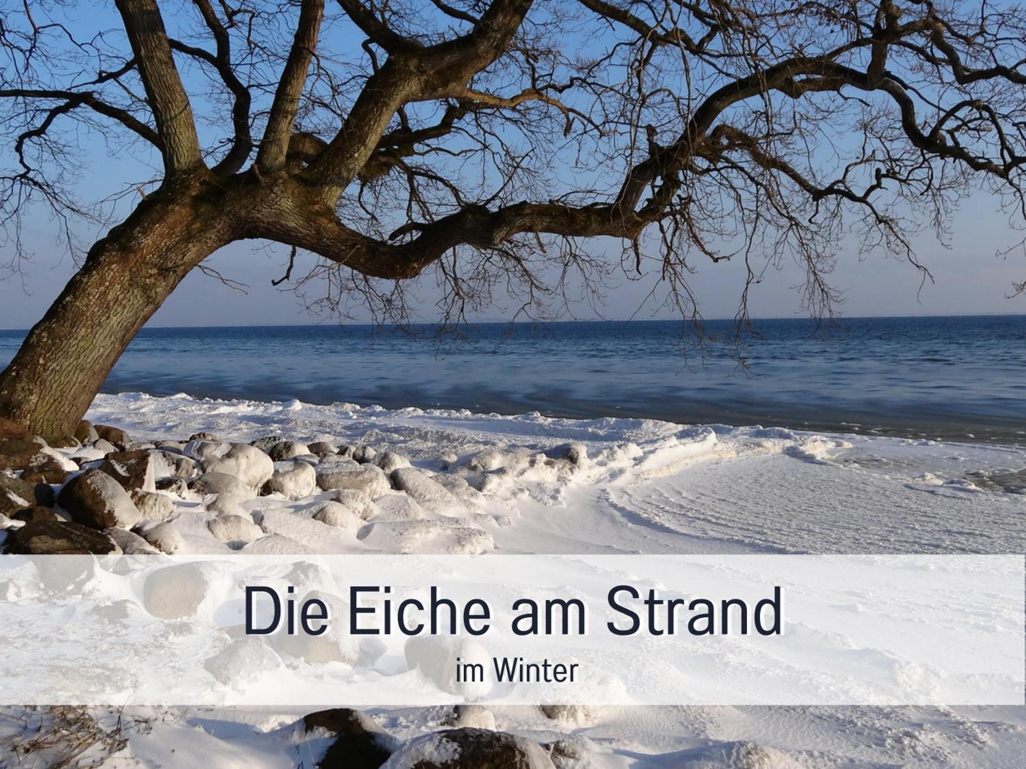 Ferienloft Sternenblick - Strandnah, Haustierfreundlich, Tolle Kueche, Optimal Fuer Workation, 4 Personen Steinberg  Екстер'єр фото