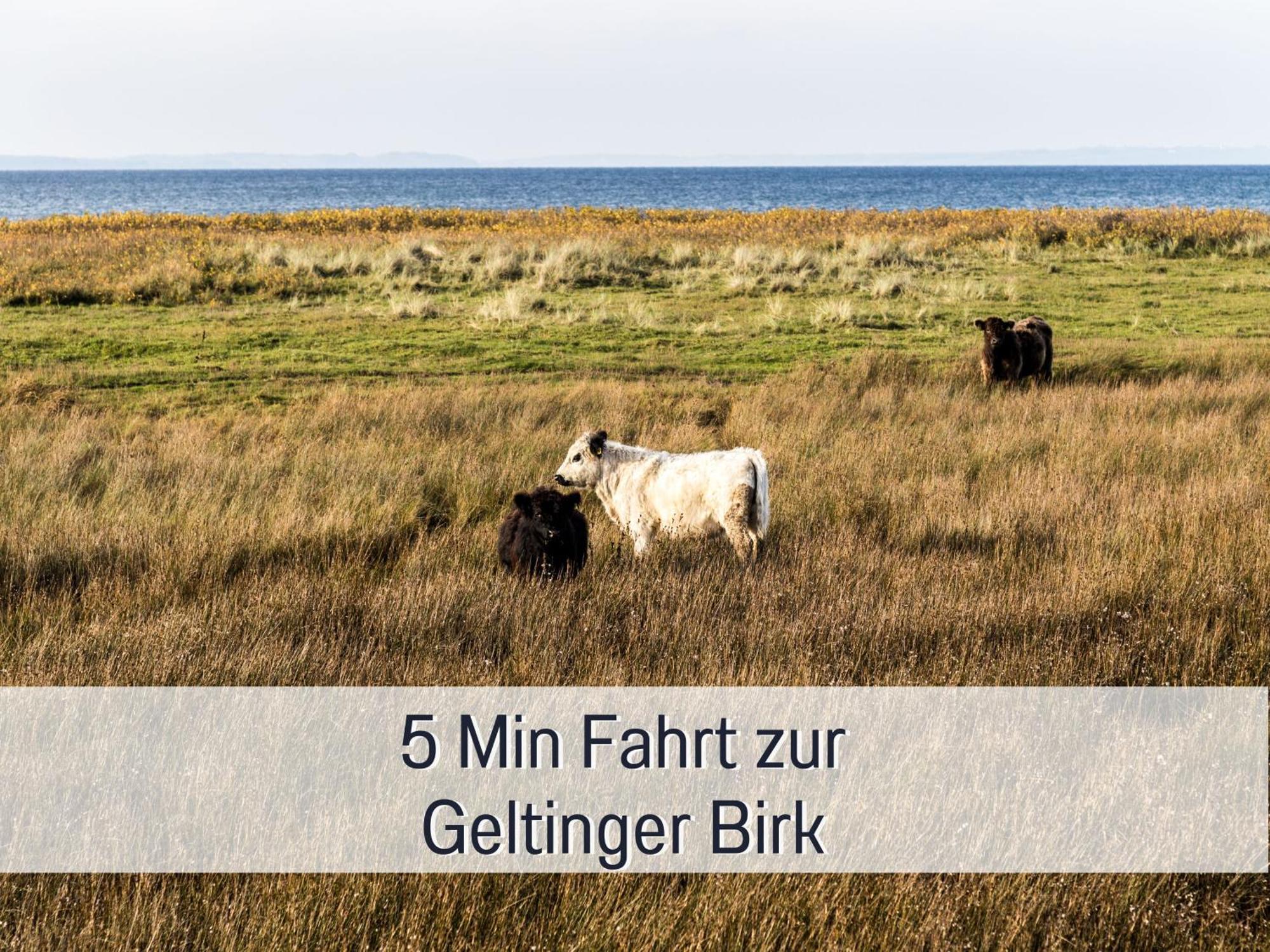 Ferienloft Sternenblick - Strandnah, Haustierfreundlich, Tolle Kueche, Optimal Fuer Workation, 4 Personen Steinberg  Екстер'єр фото